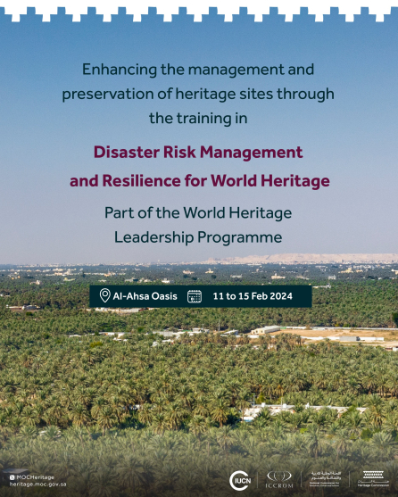 Disaster Risk Management and Resilience for World Heritage