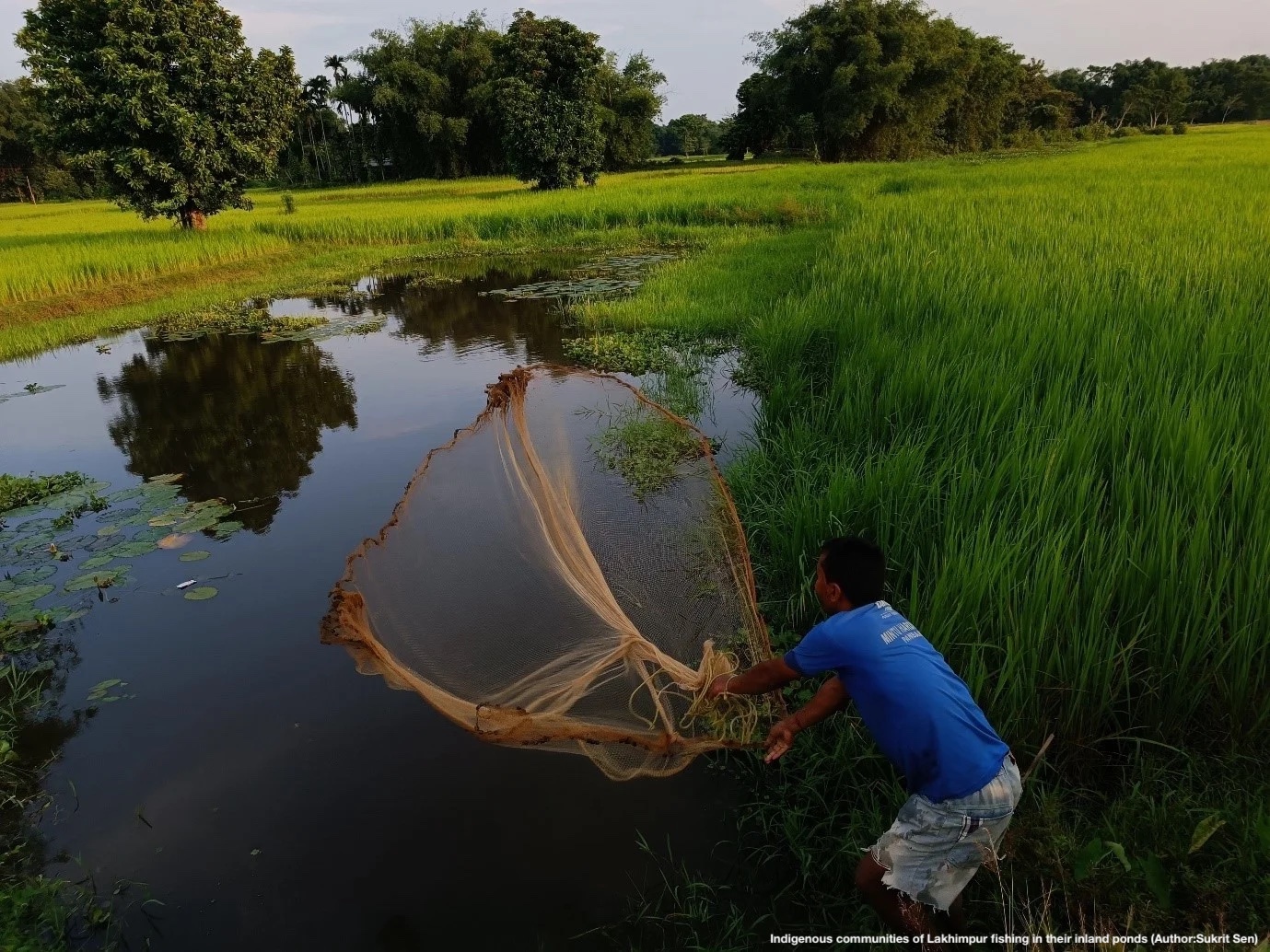 Indigenous communities of Lakhimpur fishing in their inland ponds (Author:Sukrit Sen)