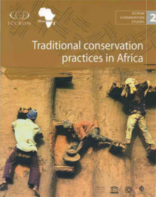 Guardians of the Earth: Unveiling the Wisdom of African Tribal Conservation Practices