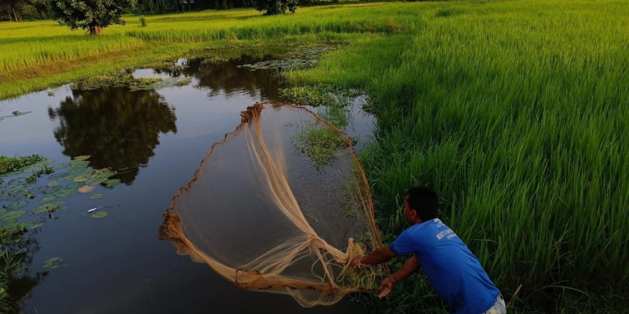 Indigenous communities of Lakhimpur fishing in their inland ponds (Author:Sukrit Sen)