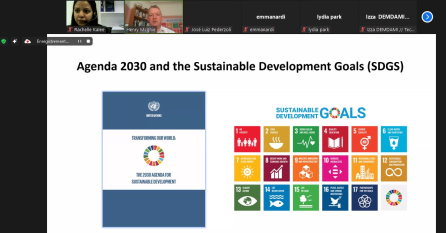 Connecting the dots between the SDG targets and collections-based work 