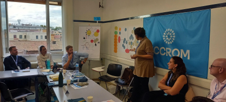 recovery of cultural heritage