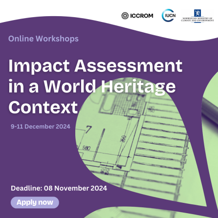 International Workshop on Impact Assessment in a World Heritage Context 