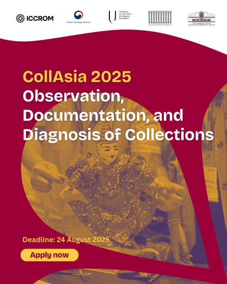 CollAsia 2025: Observation, Documentation, and Diagnosis of Collections