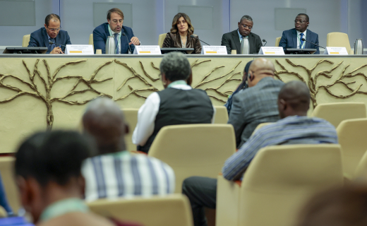 From Tradition to Transformation: Empowering Craftspeople in Africa